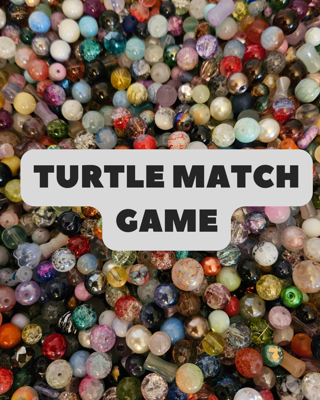 Turtle Match Game