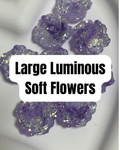 Luminous Large Soft Flowers