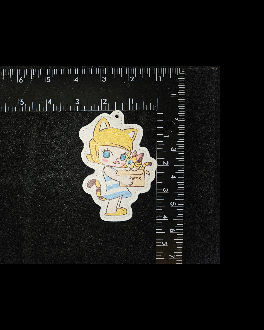 Vinyl Keychain Tags